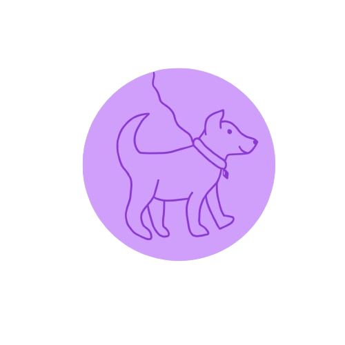 Pet Grooming